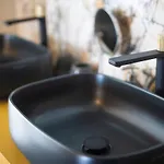 Salvia 4*