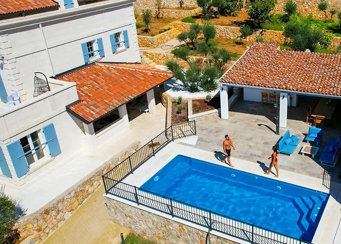 Salvia Cres